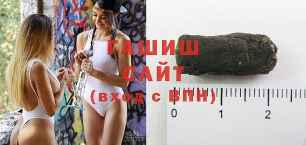 шишки Белокуриха