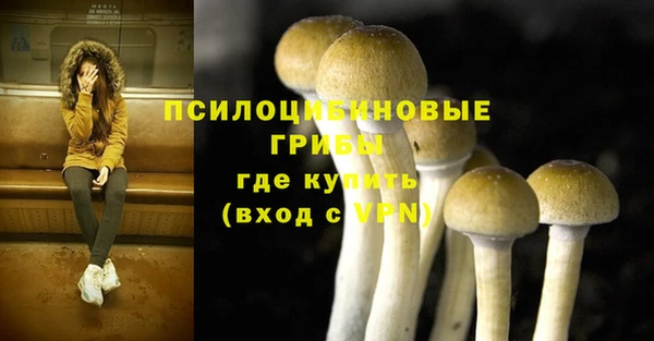 шишки Белокуриха