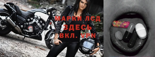 шишки Белокуриха